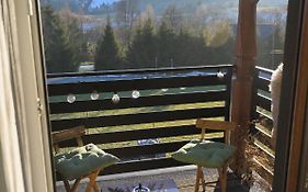 Apartament U Sikorki